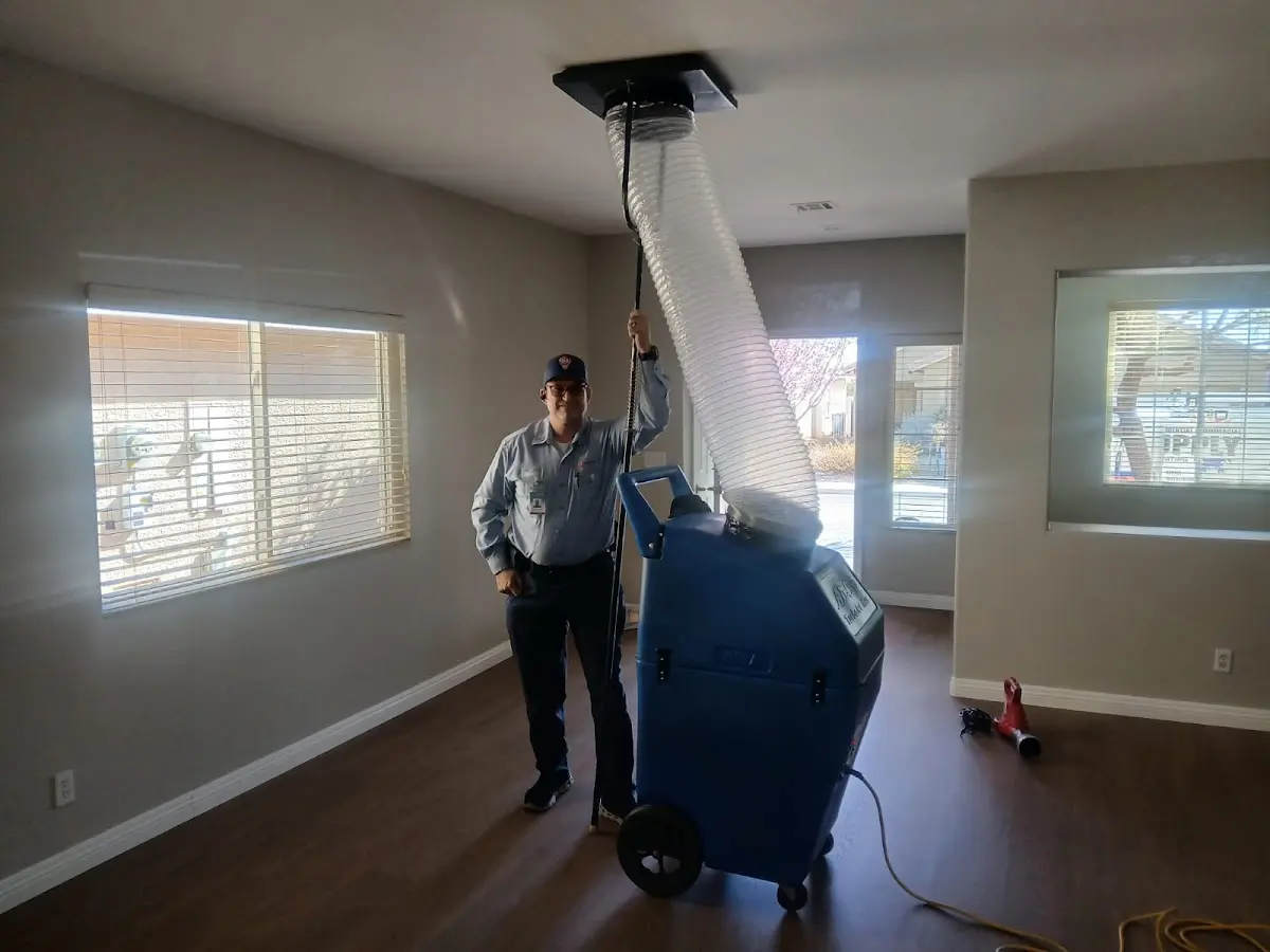 Professional Dryer Vent Cleaning work inside a Myrtle Grove home